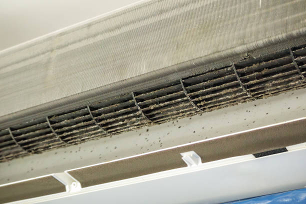 Best Affordable Air Duct Cleaning  in Kihei, HI
